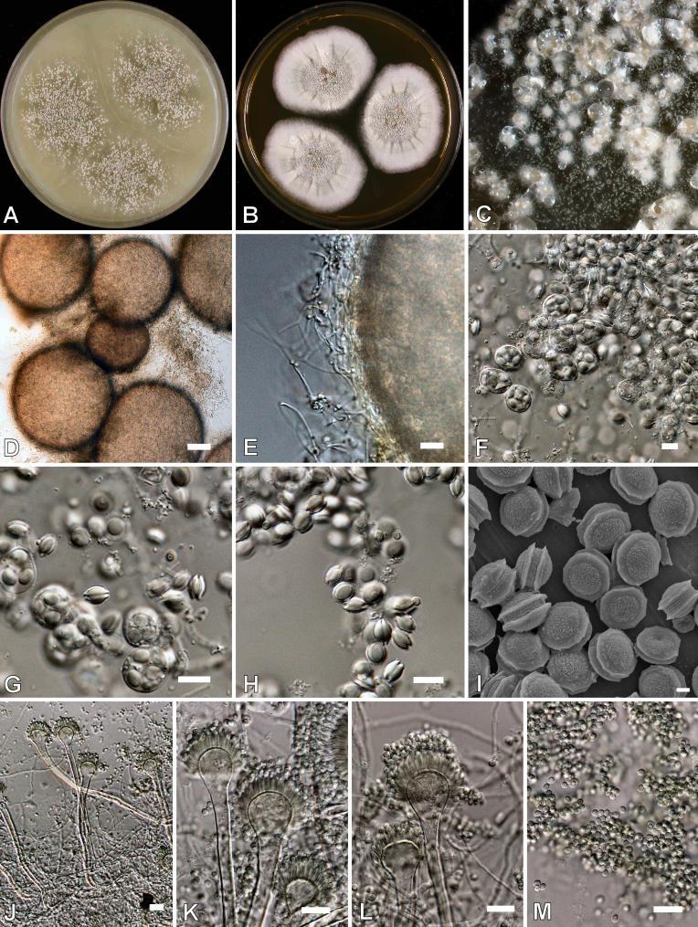 https://cdn.ncbi.nlm.nih.gov/pmc/blobs/ef2d/2275200/d9e9fb7e1251/14fig38.jpg