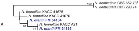 https://cdn.ncbi.nlm.nih.gov/pmc/blobs/ef2d/2275200/eb003edec799/14fig5a.jpg