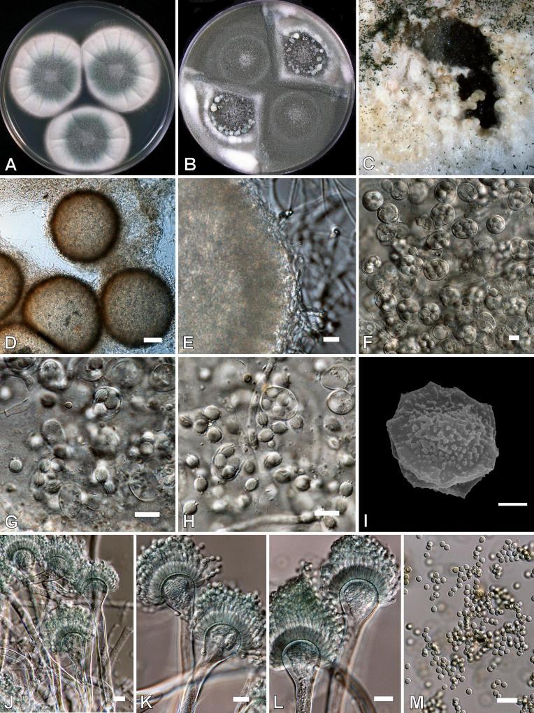 https://cdn.ncbi.nlm.nih.gov/pmc/blobs/ef2d/2275200/f25604f57b38/14fig37.jpg
