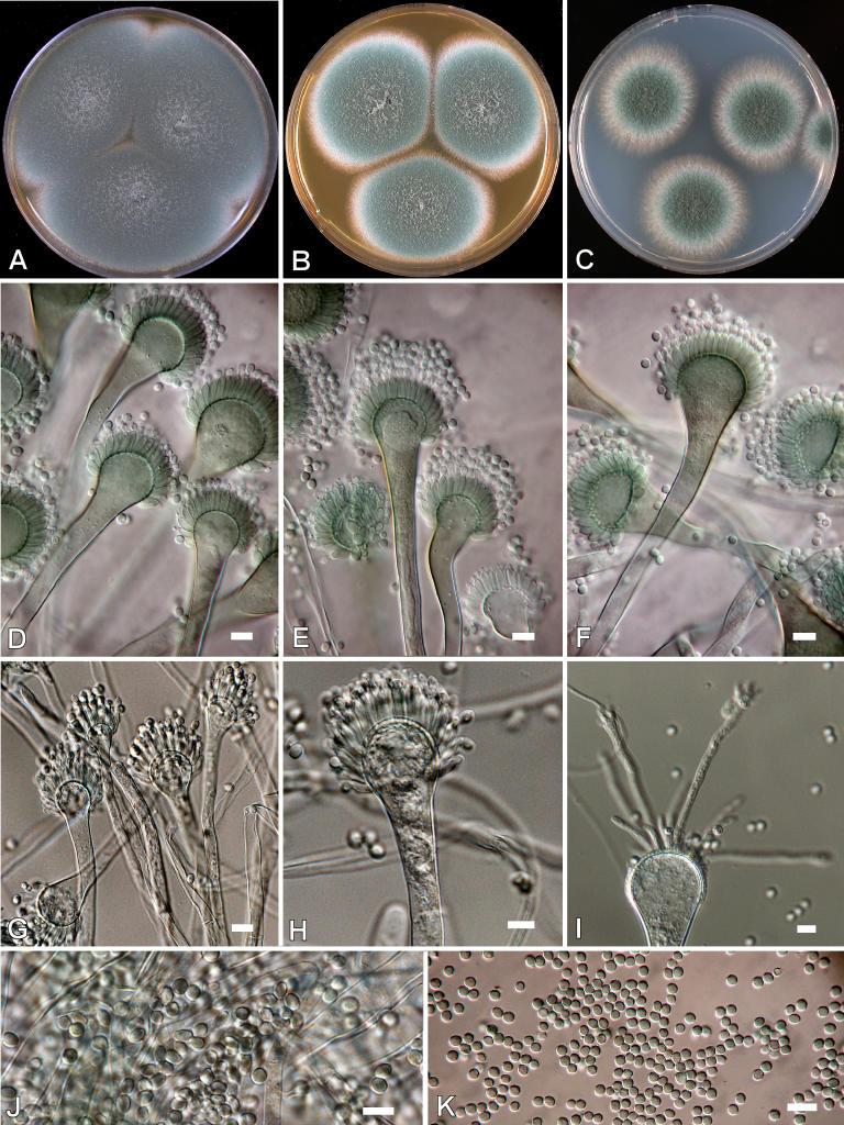 https://cdn.ncbi.nlm.nih.gov/pmc/blobs/ef2d/2275200/f8a2b7da7e72/14fig9.jpg