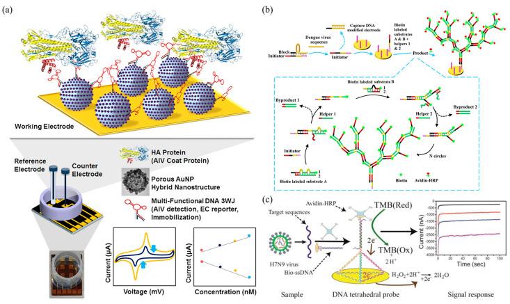 https://cdn.ncbi.nlm.nih.gov/pmc/blobs/ef2e/10452139/e6e885766ae8/biosensors-13-00822-g007.jpg