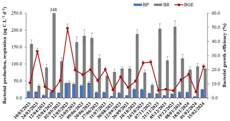 https://cdn.ncbi.nlm.nih.gov/pmc/blobs/ef32/11509854/2986e0727b34/microorganisms-12-02061-g003.jpg