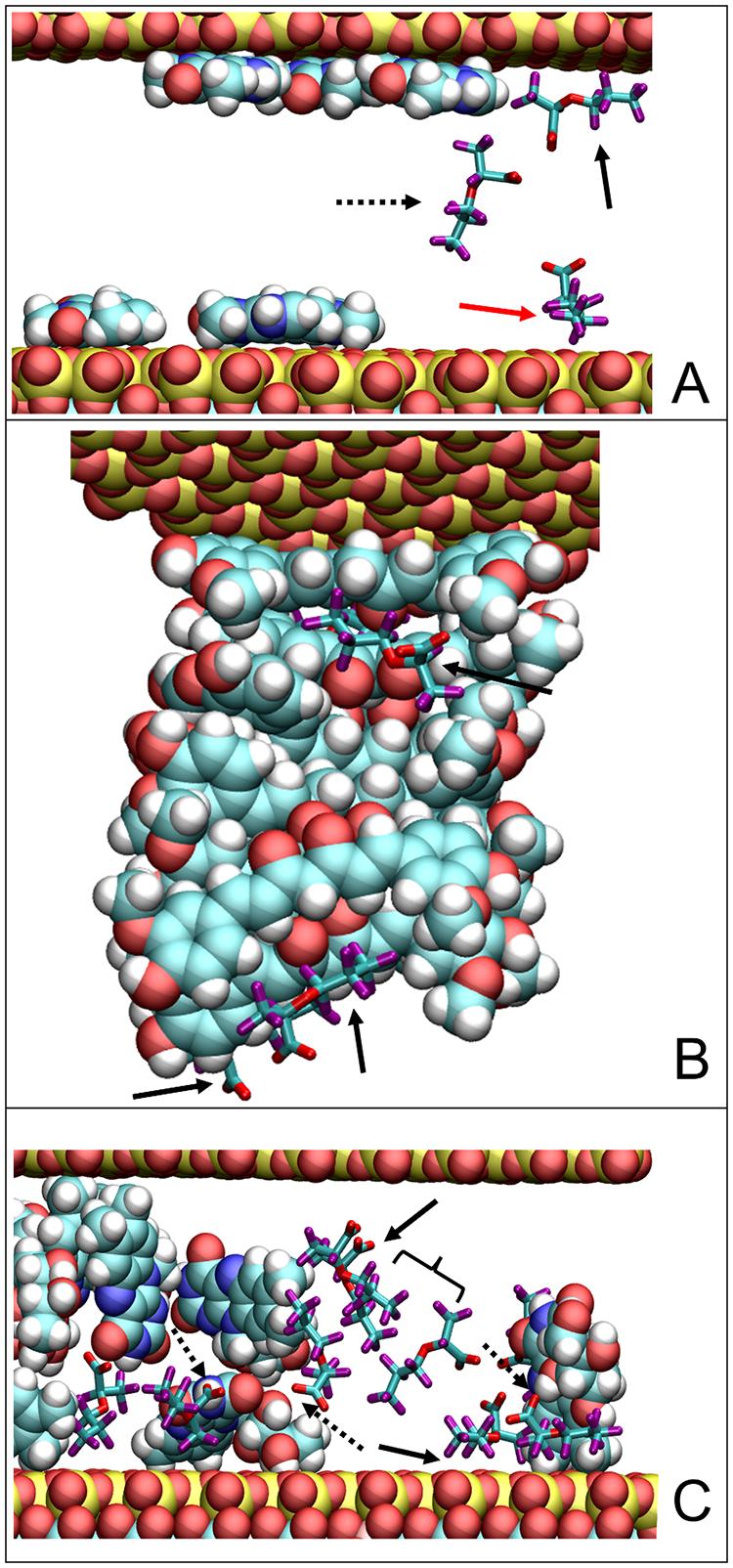 https://cdn.ncbi.nlm.nih.gov/pmc/blobs/ef32/12369673/c90dc6087955/nihms-2093062-f0006.jpg