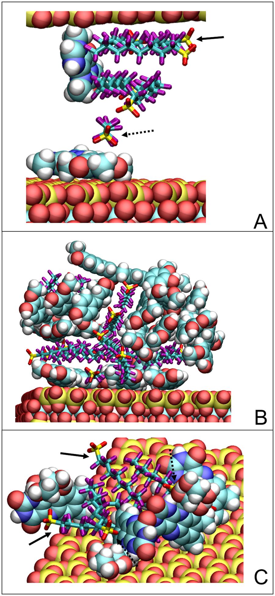 https://cdn.ncbi.nlm.nih.gov/pmc/blobs/ef32/12369673/fa1b1b3a827f/nihms-2093062-f0007.jpg