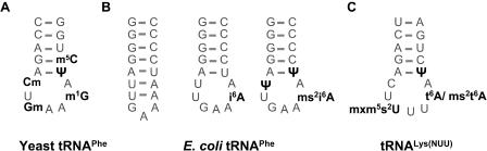 https://cdn.ncbi.nlm.nih.gov/pmc/blobs/ef32/1360285/2df9cdf9c9f7/gkj471f1.jpg