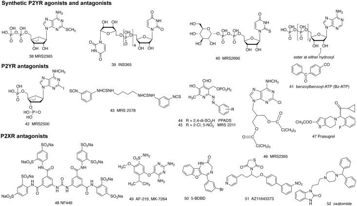 https://cdn.ncbi.nlm.nih.gov/pmc/blobs/ef35/5744008/ebc142016676/fphar-08-00947-g002.jpg