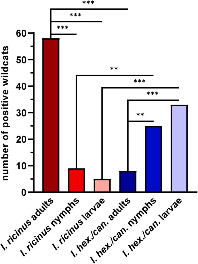 https://cdn.ncbi.nlm.nih.gov/pmc/blobs/ef36/11407961/4dfd8ee49bec/gr4.jpg