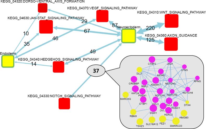 https://cdn.ncbi.nlm.nih.gov/pmc/blobs/ef38/6030852/8e1feb906039/gky485fig4.jpg