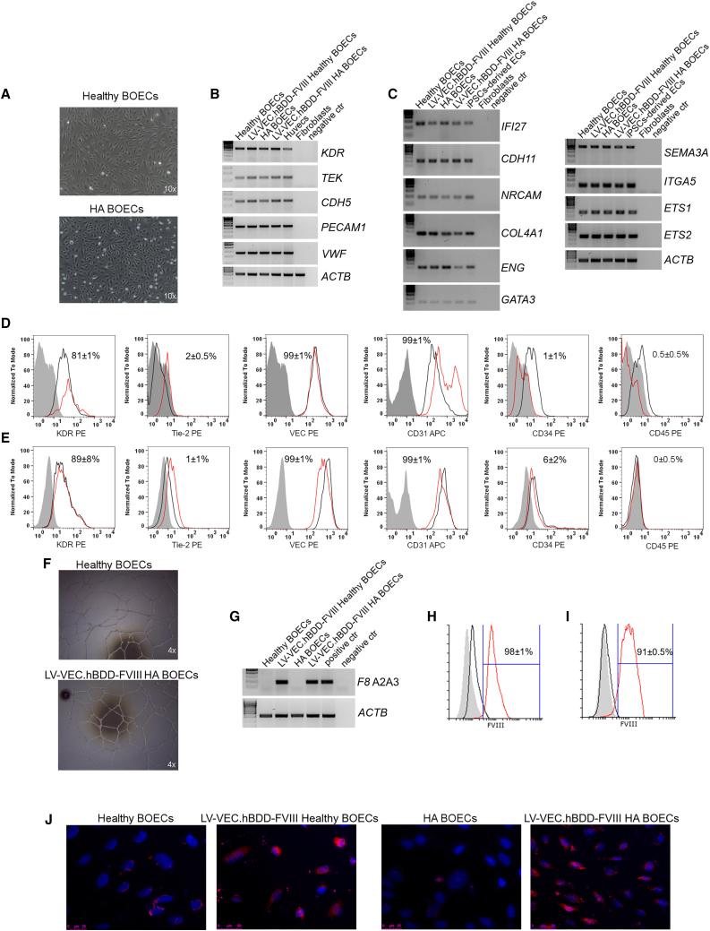 https://cdn.ncbi.nlm.nih.gov/pmc/blobs/ef38/8606349/0181d305dabe/gr1.jpg