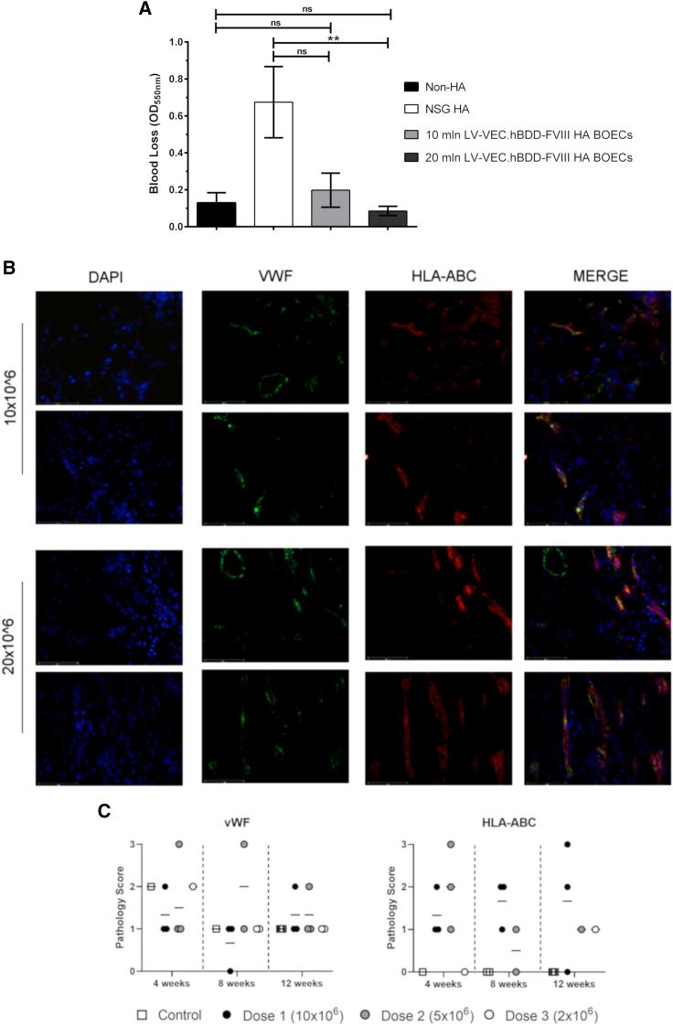https://cdn.ncbi.nlm.nih.gov/pmc/blobs/ef38/8606349/25c08858a83c/gr5.jpg