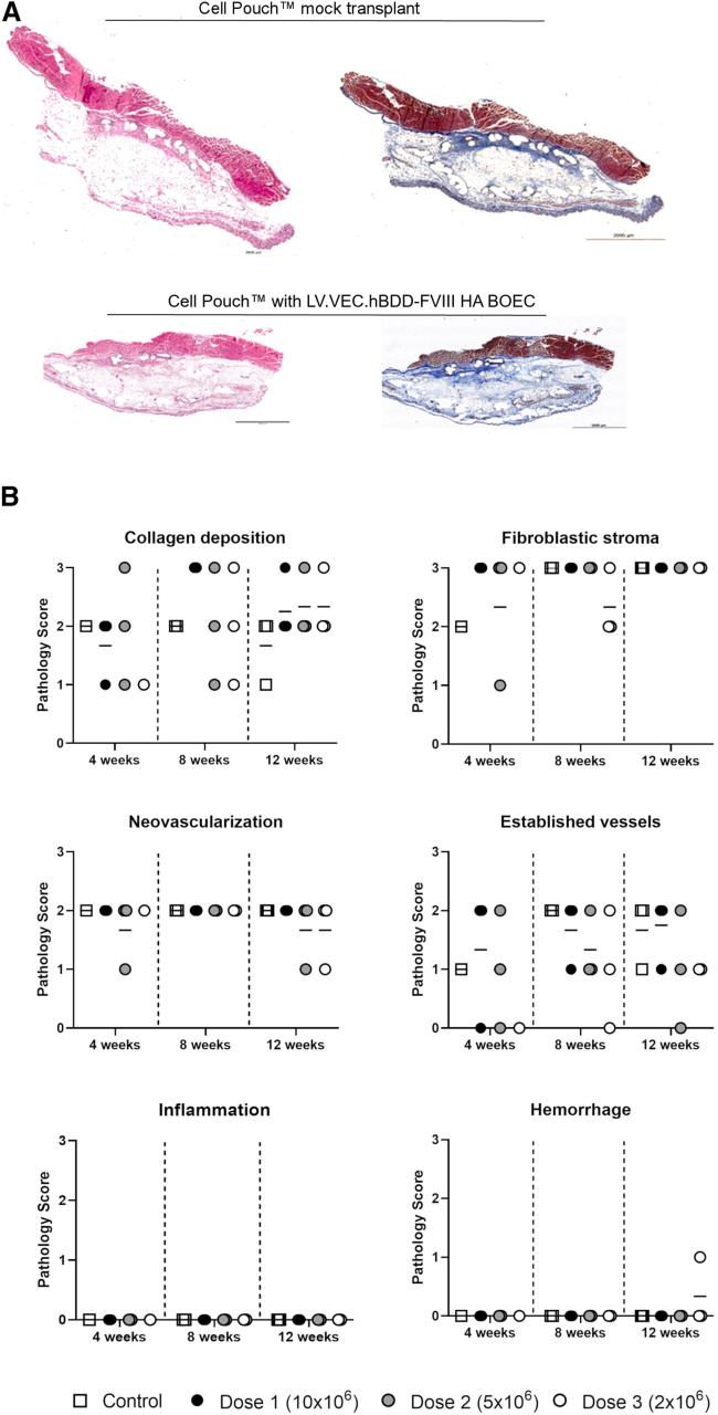 https://cdn.ncbi.nlm.nih.gov/pmc/blobs/ef38/8606349/fb39eea77434/gr4.jpg