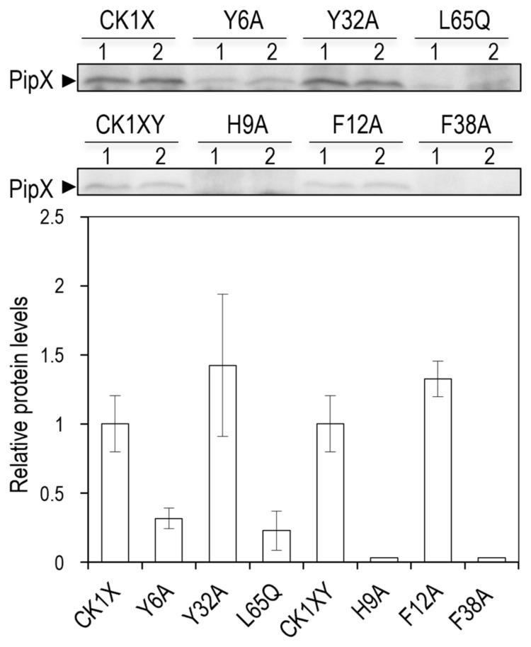https://cdn.ncbi.nlm.nih.gov/pmc/blobs/ef3d/11121479/2eb6e23b543b/ijms-25-05429-g007.jpg