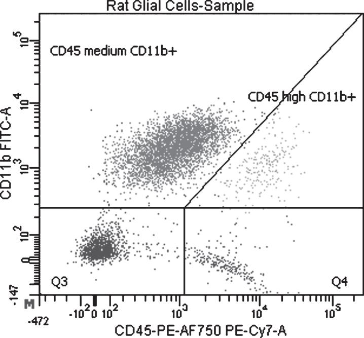 https://cdn.ncbi.nlm.nih.gov/pmc/blobs/ef3e/5438473/1a843ad0c6e4/jpd-7-jpd171068-g002.jpg