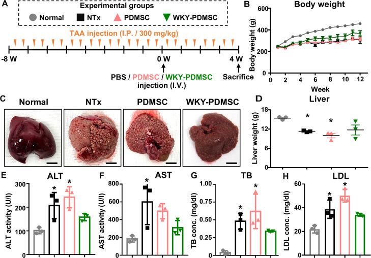 https://cdn.ncbi.nlm.nih.gov/pmc/blobs/ef40/12281255/0bdd7853db82/gr6.jpg