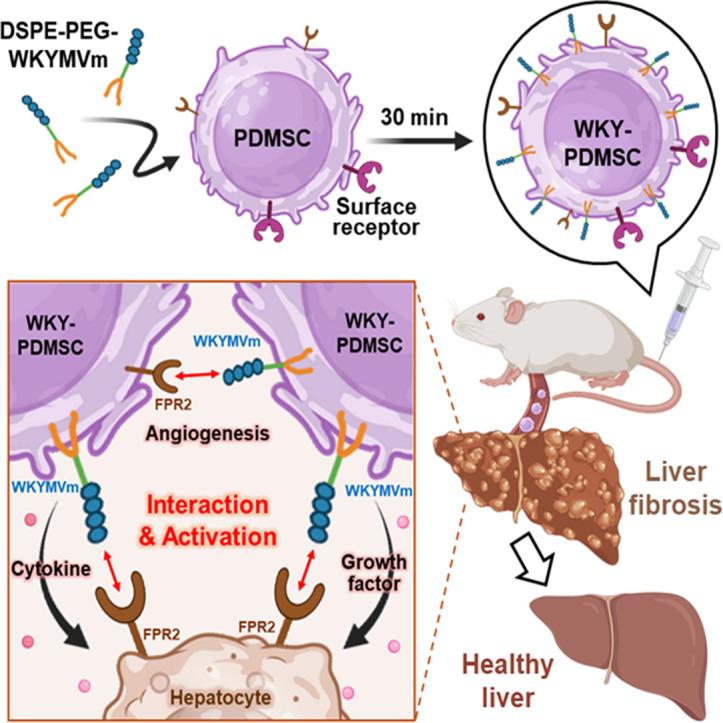 https://cdn.ncbi.nlm.nih.gov/pmc/blobs/ef40/12281255/2878702e91c1/ga1.jpg