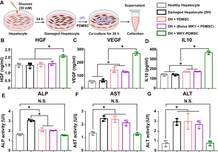 https://cdn.ncbi.nlm.nih.gov/pmc/blobs/ef40/12281255/42006b4e0a5b/gr4.jpg