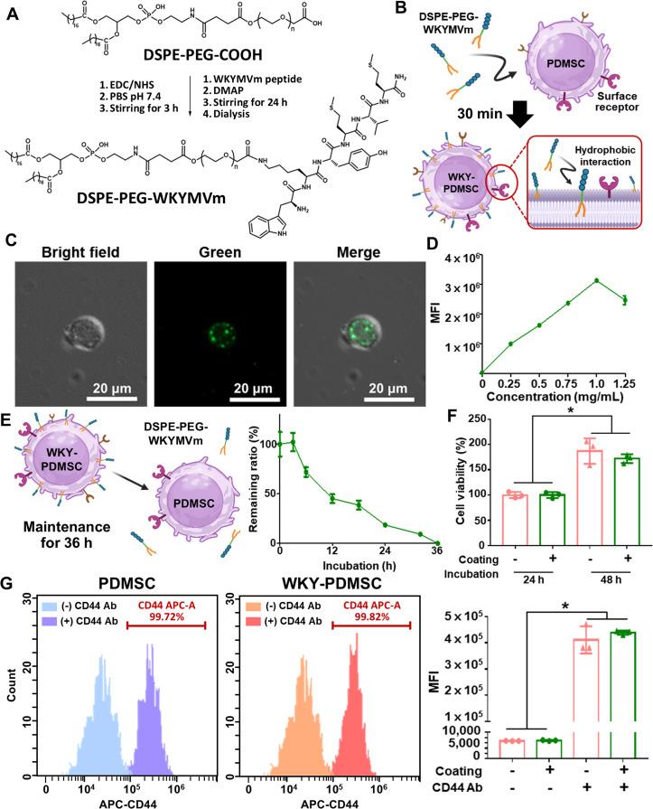 https://cdn.ncbi.nlm.nih.gov/pmc/blobs/ef40/12281255/c36f08e28dcd/gr2.jpg