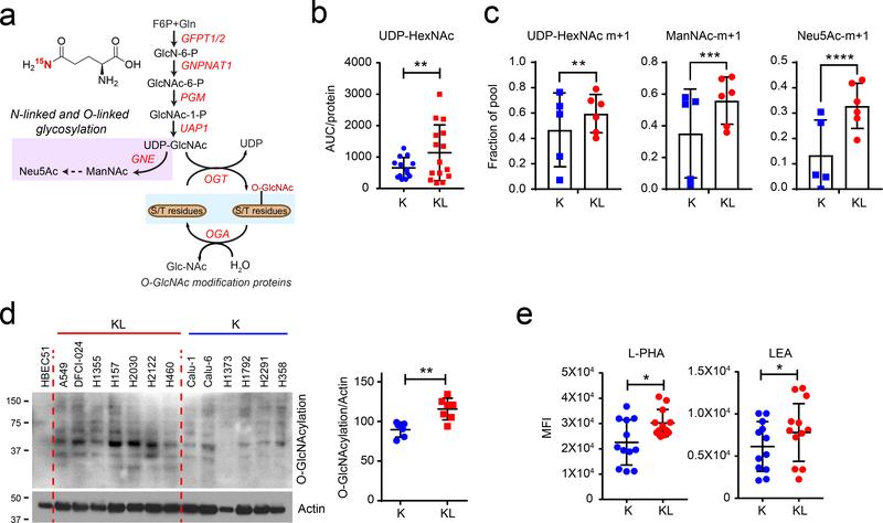 https://cdn.ncbi.nlm.nih.gov/pmc/blobs/ef40/7744327/9e238acb3aea/nihms-1640258-f0002.jpg
