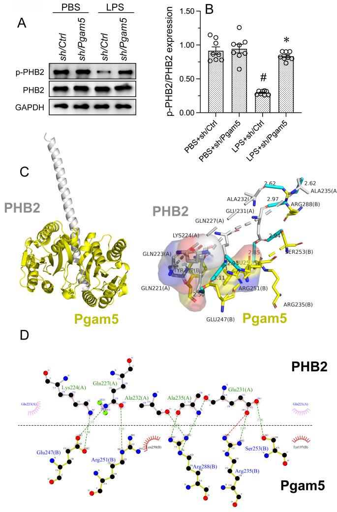 https://cdn.ncbi.nlm.nih.gov/pmc/blobs/ef41/10535708/5bd252d1187d/ijbsv19p4657g004.jpg