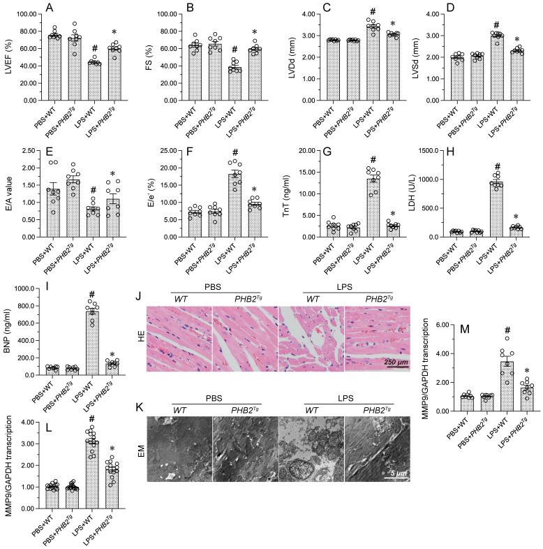 https://cdn.ncbi.nlm.nih.gov/pmc/blobs/ef41/10535708/e7558d5f2421/ijbsv19p4657g001.jpg