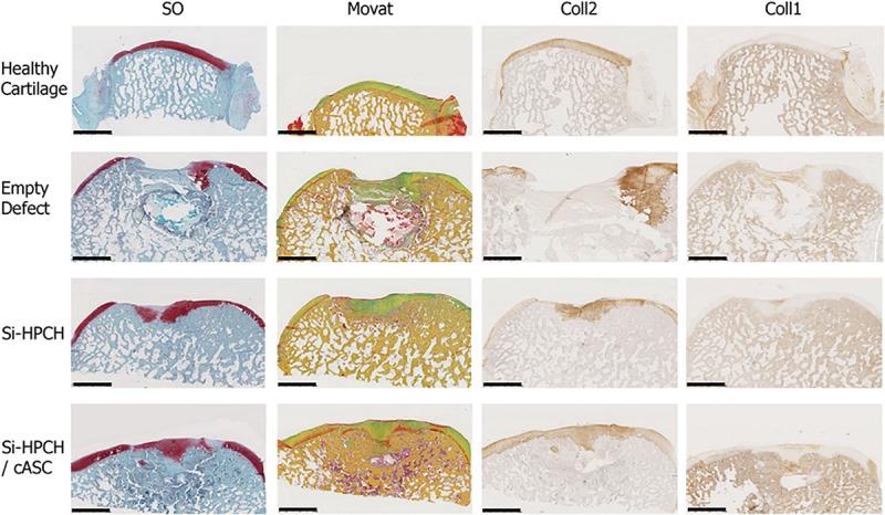https://cdn.ncbi.nlm.nih.gov/pmc/blobs/ef42/7025592/37082284b444/fbioe-08-00023-g005.jpg
