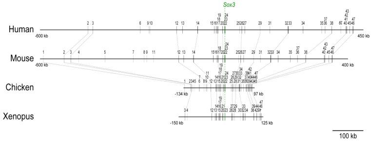 https://cdn.ncbi.nlm.nih.gov/pmc/blobs/ef45/4009812/4cad9a367a3d/biology-01-00714-g001.jpg