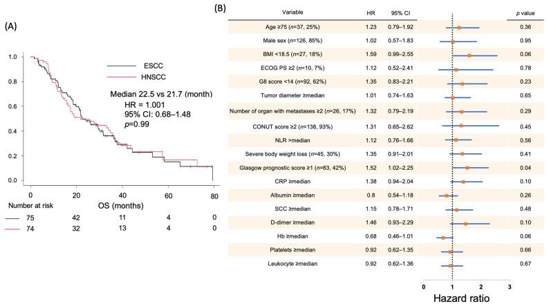 https://cdn.ncbi.nlm.nih.gov/pmc/blobs/ef48/12347404/5003bdd8c2d4/ijms-26-07528-g001.jpg