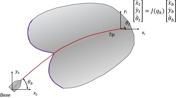 https://cdn.ncbi.nlm.nih.gov/pmc/blobs/ef49/7090177/824689e41bbc/RSRR-7-1-g0006.jpg