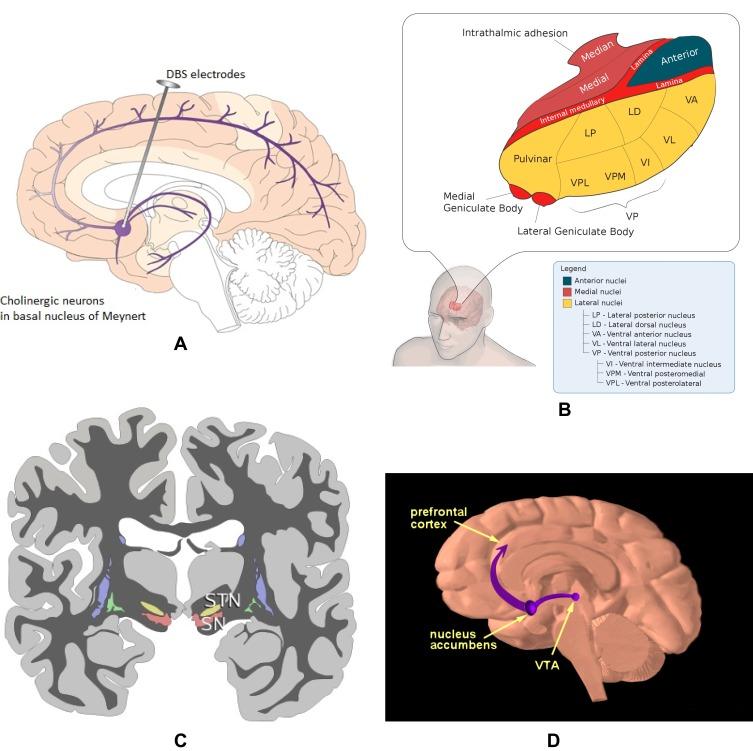 https://cdn.ncbi.nlm.nih.gov/pmc/blobs/ef49/7090177/c15505500314/RSRR-7-1-g0014.jpg