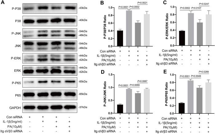 https://cdn.ncbi.nlm.nih.gov/pmc/blobs/ef49/8678602/4368fc778116/fphar-12-761922-g007.jpg