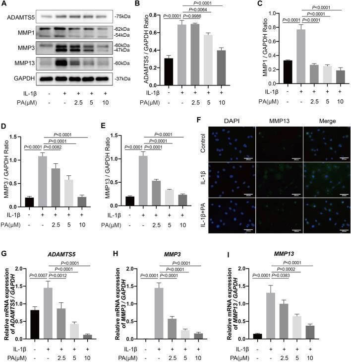 https://cdn.ncbi.nlm.nih.gov/pmc/blobs/ef49/8678602/90ab0b02bf98/fphar-12-761922-g003.jpg
