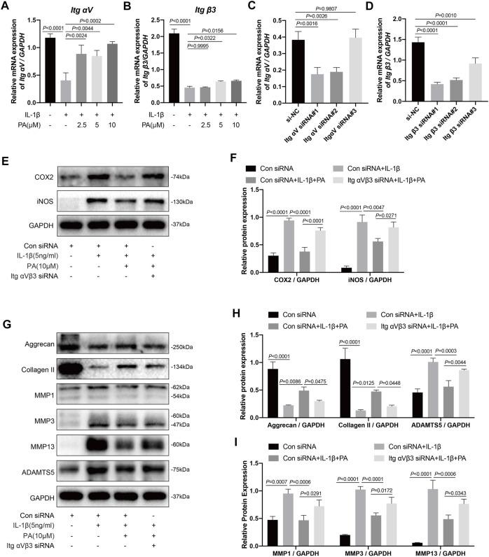 https://cdn.ncbi.nlm.nih.gov/pmc/blobs/ef49/8678602/97b1818e86eb/fphar-12-761922-g006.jpg