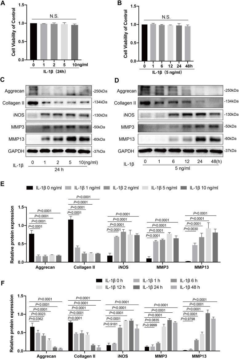 https://cdn.ncbi.nlm.nih.gov/pmc/blobs/ef49/8678602/a6863b822cf7/fphar-12-761922-g001.jpg