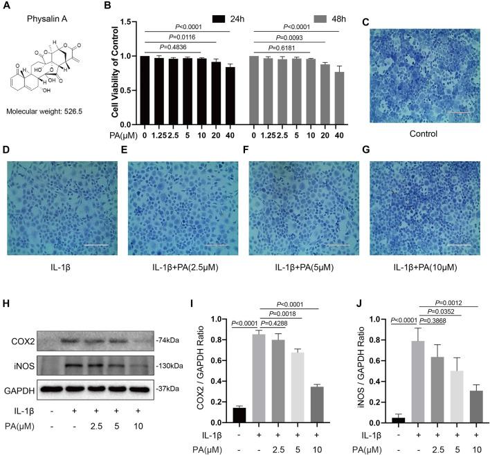 https://cdn.ncbi.nlm.nih.gov/pmc/blobs/ef49/8678602/e9658f67d73c/fphar-12-761922-g002.jpg