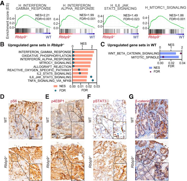 https://cdn.ncbi.nlm.nih.gov/pmc/blobs/ef4b/11786897/122f75f23316/gr4.jpg
