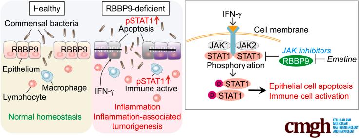 https://cdn.ncbi.nlm.nih.gov/pmc/blobs/ef4b/11786897/3f81e8a73c01/ga1.jpg