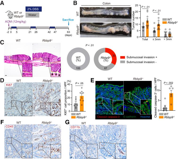 https://cdn.ncbi.nlm.nih.gov/pmc/blobs/ef4b/11786897/5312b7bcd86a/gr3.jpg