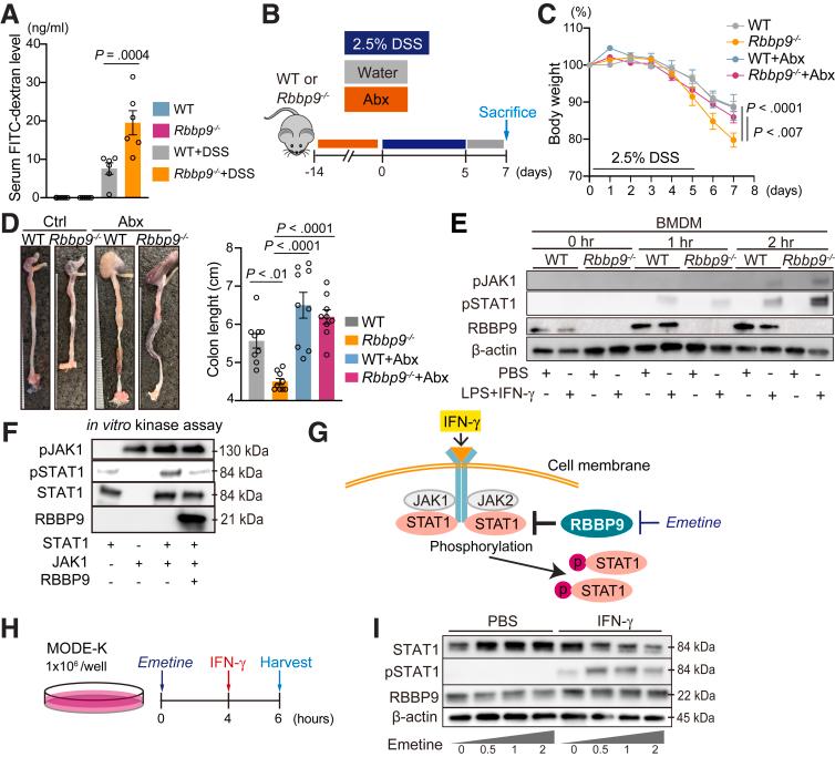 https://cdn.ncbi.nlm.nih.gov/pmc/blobs/ef4b/11786897/7359b3077631/gr7.jpg