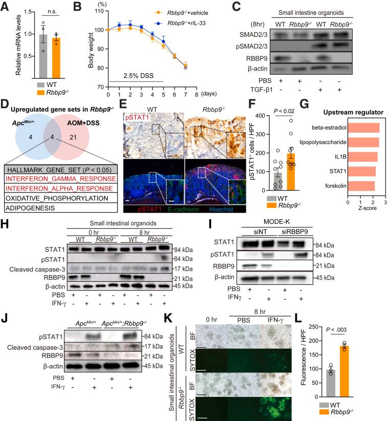 https://cdn.ncbi.nlm.nih.gov/pmc/blobs/ef4b/11786897/90f84d27f1a9/gr6.jpg