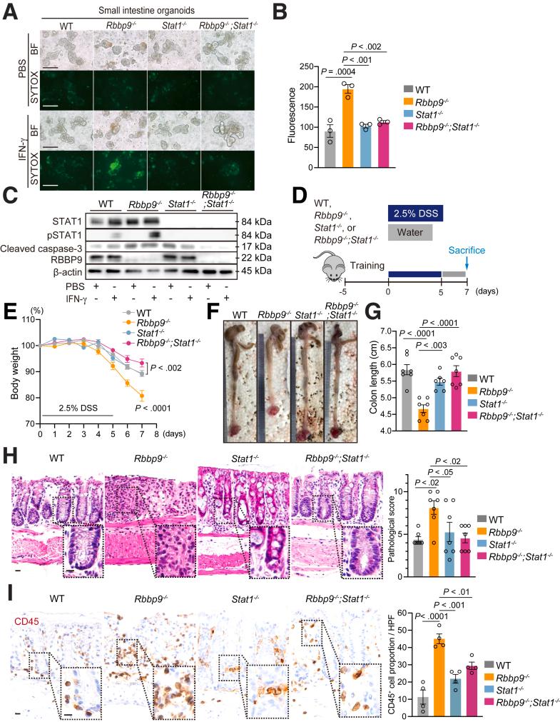 https://cdn.ncbi.nlm.nih.gov/pmc/blobs/ef4b/11786897/aedc5e9f21e0/gr8.jpg
