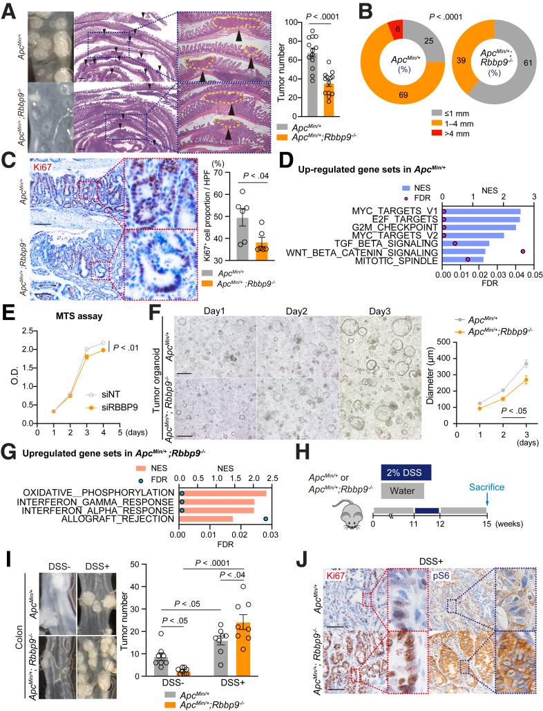 https://cdn.ncbi.nlm.nih.gov/pmc/blobs/ef4b/11786897/fe6a6f3eadf3/gr5.jpg