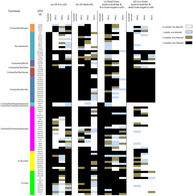 https://cdn.ncbi.nlm.nih.gov/pmc/blobs/ef4b/5515937/6f96d5788745/41598_2017_2516_Fig1_HTML.jpg