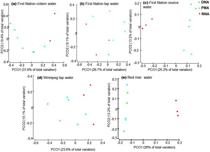 https://cdn.ncbi.nlm.nih.gov/pmc/blobs/ef4b/5515937/8b1678baa958/41598_2017_2516_Fig6_HTML.jpg
