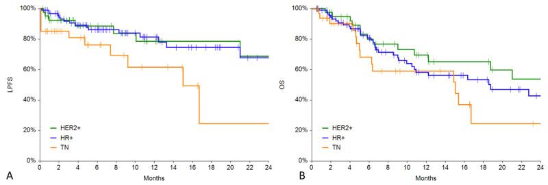 https://cdn.ncbi.nlm.nih.gov/pmc/blobs/ef4c/10295899/fe1b8d1853bf/cancers-15-03116-g003.jpg