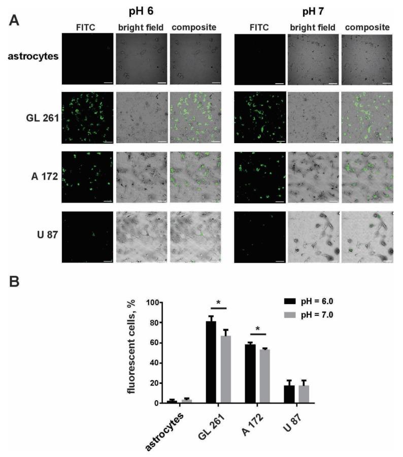 https://cdn.ncbi.nlm.nih.gov/pmc/blobs/ef4c/6523331/2f041191e077/biomolecules-09-00154-g001.jpg