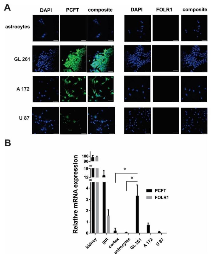 https://cdn.ncbi.nlm.nih.gov/pmc/blobs/ef4c/6523331/c3f1f5109a91/biomolecules-09-00154-g004.jpg