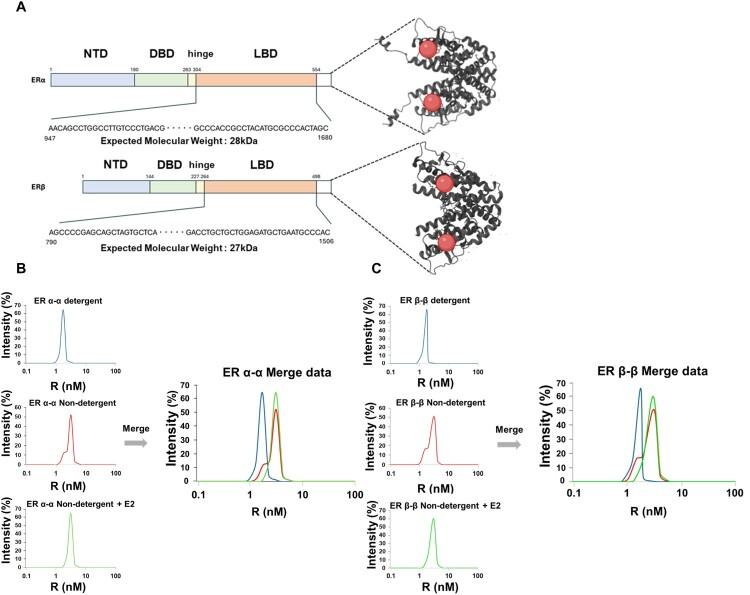 https://cdn.ncbi.nlm.nih.gov/pmc/blobs/ef4d/12039421/242f6565f909/TACS_A_2481984_F0002_OC.jpg