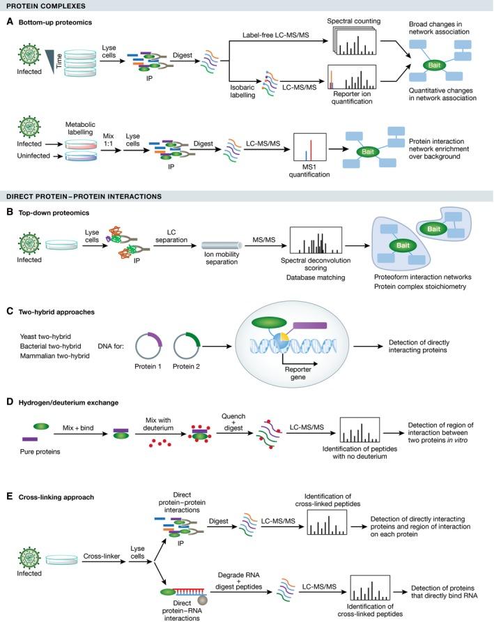 https://cdn.ncbi.nlm.nih.gov/pmc/blobs/ef50/5371729/72e743234125/MSB-13-922-g002.jpg
