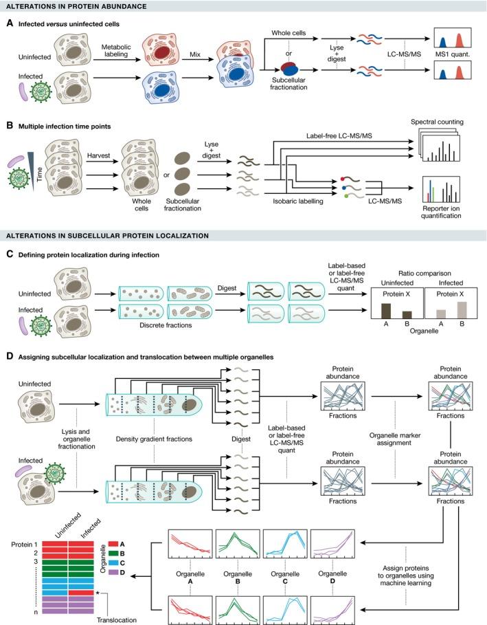 https://cdn.ncbi.nlm.nih.gov/pmc/blobs/ef50/5371729/ad9a821d971a/MSB-13-922-g003.jpg