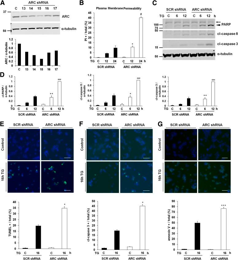 https://cdn.ncbi.nlm.nih.gov/pmc/blobs/ef52/3526036/e55540caeb2e/183fig4.jpg